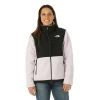 The North Face Women's Denali Jacket -Snow Warm Clothing fw23 tnf womensdenalijacket lavendarfog model1