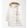 The North Face Women's Plus Arctic Parka